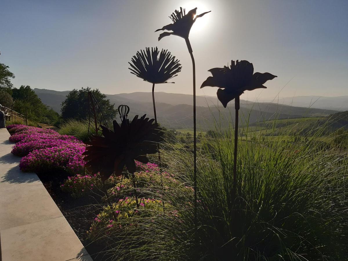 Villa Il Burellino à Montalcino Extérieur photo